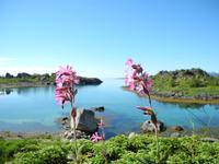 DSCN8701 &ndash; &copy; Norbert Birner (Eberhardt TRAVEL)