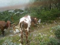 Was guckts Du? &ndash; &copy; Gabriele Schwarze (Eberhardt TRAVEL)
