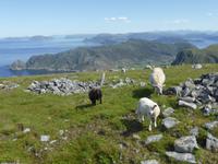 108-Westkap &ndash; &copy; Dirk Schlosser (Eberhardt TRAVEL)