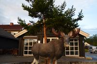 014 Elverum &ndash; &copy; Konrad Füssel (Eberhardt TRAVEL)