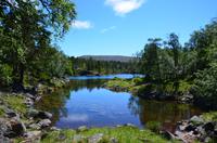 113 Femundsmarka Nationalpark &ndash; &copy; Konrad Füssel (Eberhardt TRAVEL)