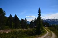 464 Utvikfjell &ndash; &copy; Konrad Füssel (Eberhardt TRAVEL)