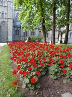 Trondheim Nidarosdom &ndash; &copy; Ingrid Langer (Eberhardt TRAVEL)