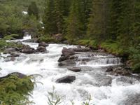 Rheinheimen &ndash; &copy; Ingrid Langer (Eberhardt TRAVEL)