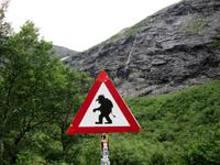 am Trollstigen