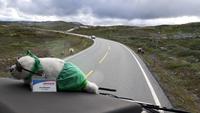 Hardangervidda &ndash; &copy; Jörg Nesse (Eberhardt TRAVEL)