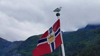 Fährfahrt über das Sogndalfjord &ndash; &copy; Kristina Hesse (Eberhardt TRAVEL)