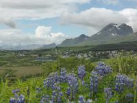 Lofoten  &ndash; &copy; Claudia Bernhardt (Eberhardt TRAVEL)