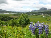 Lofoten  &ndash; &copy; Claudia Bernhardt (Eberhardt TRAVEL)