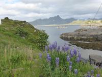 Lofoten  &ndash; &copy; Claudia Bernhardt (Eberhardt TRAVEL)