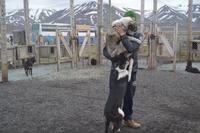 Husky Farm (7) &ndash; &copy; Laura Wonneberger (Eberhardt TRAVEL)