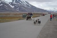 Huskyschlittenfahrt (7) &ndash; &copy; Laura Wonneberger (Eberhardt TRAVEL)
