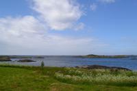 Insel Haholmen (5) &ndash; &copy; Laura Wonneberger (Eberhardt TRAVEL)