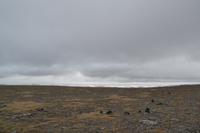 Nordkap (32) &ndash; &copy; Laura Wonneberger (Eberhardt TRAVEL)