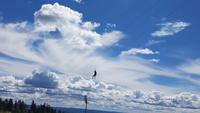 Holmenkollen &ndash; &copy; Kristina Hesse (Eberhardt TRAVEL)