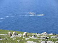 Am Westkap &ndash; &copy; Peter Rudolph (Eberhardt TRAVEL)