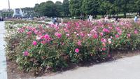 Vigelandpark Oslo &ndash; &copy; Ingrid Langer (Eberhardt TRAVEL)