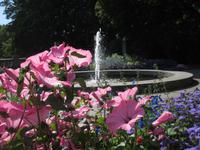 Im Vigelandpark &ndash; &copy; Peter Rudolph (Eberhardt TRAVEL)