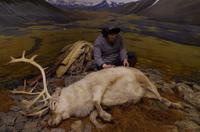 Tromsö Polarmuseum &ndash; &copy; René Wächtler (Eberhardt TRAVEL)