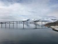 Risoyhandet