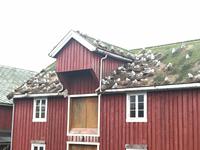 Rörvik &ndash; &copy; René Wächtler (Eberhardt TRAVEL)