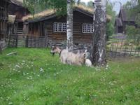 Freilichtmuseum Maihaugen &ndash; &copy; Ingrid Langer (Eberhardt TRAVEL)