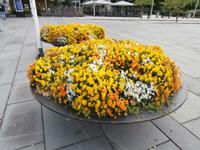 Bergen &ndash; &copy; Ingrid Langer (Eberhardt TRAVEL)