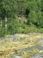 Elch &ndash; &copy; Philip Seidel (Eberhardt TRAVEL)