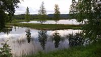 Natur