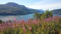Ryfylkevegen &ndash; &copy; Kristina Hesse (Eberhardt TRAVEL)