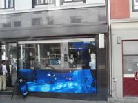 Eisbar Oslo &ndash; &copy; Ingrid Langer (Eberhardt TRAVEL)