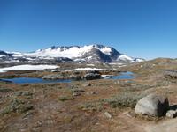 Sognefjellstraße Nr. 55 &ndash; &copy; Ingrid Langer (Eberhardt TRAVEL)