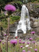 Steindalsfossen &ndash; &copy; Ingrid Langer (Eberhardt TRAVEL)