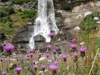 Steindalsfossen &ndash; &copy; Ingrid Langer (Eberhardt TRAVEL)