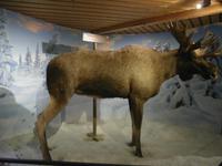 Holmenkollen Oslo Skimuseum &ndash; &copy; Ingrid Langer (Eberhardt TRAVEL)