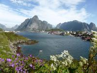 Lofoten - Reine  &ndash; &copy; Claudia Bernhardt (Eberhardt TRAVEL)