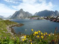 Lofoten - Reine  &ndash; &copy; Claudia Bernhardt (Eberhardt TRAVEL)