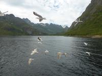 Seeadlersafari  &ndash; &copy; Claudia Bernhardt (Eberhardt TRAVEL)