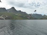 Seeadlersafari  &ndash; &copy; Claudia Bernhardt (Eberhardt TRAVEL)