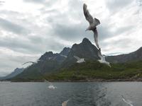 Seeadlersafari  &ndash; &copy; Claudia Bernhardt (Eberhardt TRAVEL)