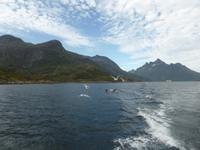 Seeadlersafari  &ndash; &copy; Claudia Bernhardt (Eberhardt TRAVEL)