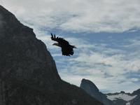 Seeadlersafari  &ndash; &copy; Claudia Bernhardt (Eberhardt TRAVEL)