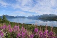 111 Balsfjord &ndash; &copy; Konrad Füssel (Eberhardt TRAVEL)