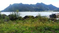 146 Lofoten, Sennesvik &ndash; &copy; Konrad Füssel (Eberhardt TRAVEL)