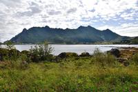 148 Lofoten, Sennesvik &ndash; &copy; Konrad Füssel (Eberhardt TRAVEL)