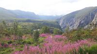 Maböytal &ndash; &copy; Katrin Deutschbein (Eberhardt TRAVEL)