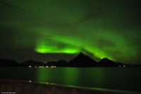 Tag 04 Polarkreis & Lofoten NO-HURTK 10 (28) &ndash; &copy; Martin Büchner (Eberhardt TRAVEL)