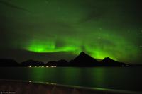 Tag 04 Polarkreis & Lofoten NO-HURTK 10 (29) &ndash; &copy; Martin Büchner (Eberhardt TRAVEL)