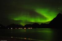 Tag 04 Polarkreis & Lofoten NO-HURTK 10 (32) &ndash; &copy; Martin Büchner (Eberhardt TRAVEL)