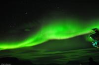 Tag 05 Tromsø & Polarlicht NO-HURTK 10 (27) &ndash; &copy; Martin Büchner (Eberhardt TRAVEL)
